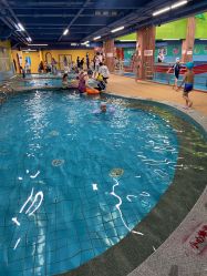 点击看大图 -宝燕乐园(闵行旗舰店)