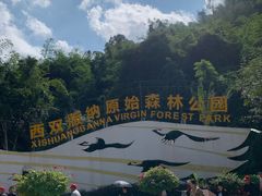 -西双版纳原始森林公园