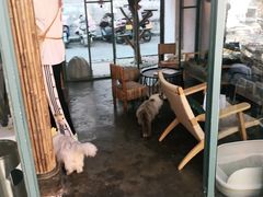 大堂-喵屿·大理花园猫咖