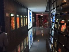 -武商摩尔影城(国广IMAX激光店)