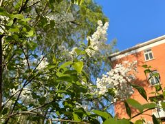 -北京理工大学(中关村校区)