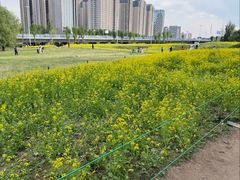 -长白岛森林公园