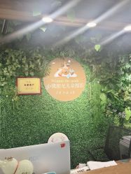 -小熊维尼高端儿童摄影(宝安旗舰店)