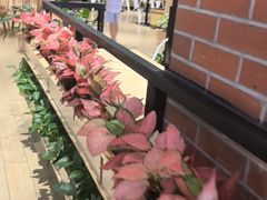 -老陕一碗(八达岭奥莱店)