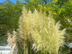 -花水湾红太阳牛肉汤锅