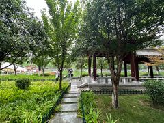 -莲湖公园