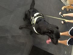 世博展览馆-东浩兰生上海世博展览馆