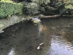 -水前寺成趣园