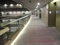-南京禄口机场雅高铂尔曼大酒店