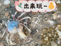 -海堤纪念公园