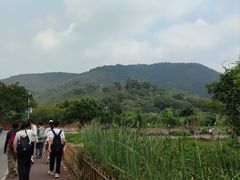 -广州市帽峰山景区