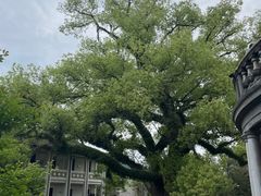 -蒋氏故居