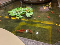 -惠食佳(滨江大公馆店)