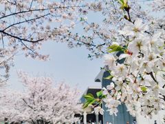 -龙美术馆(西岸馆)