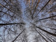 -秦岭风景区