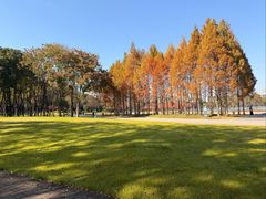 -尚贤河湿地