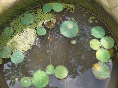 -驿舍·民國老营房院子私房菜(科学会堂店)