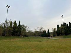 -棒棰岛宾馆景区
