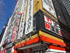 -秋叶原电器街