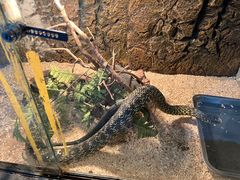 -哈尔滨北方森林动物园