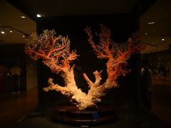 -台北故宫博物院