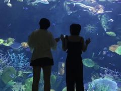 -暹罗海洋世界