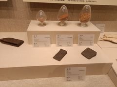 -敦煌市博物馆