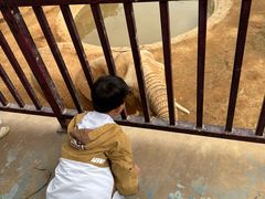 -西霞口神雕山野生动物世界