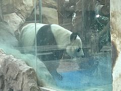 -成都动物园