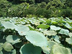 -头塘庄园(农家乐)