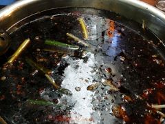 -中和远东火锅兔(老店)