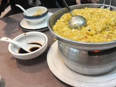 -丁老爷子苏香圆