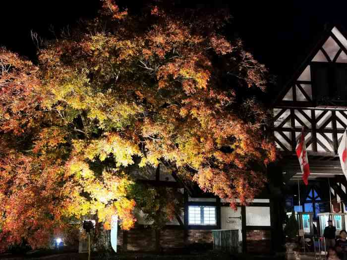 修善寺虹之乡-"在山顶山,我们坐东海巴士过来看看,里面有.