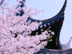 -苏州上方山国家森林公园