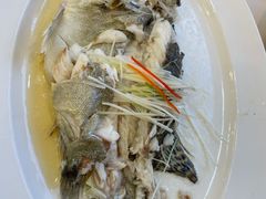 清蒸石斑-鹏天阁酒楼·海鲜(红旗店)