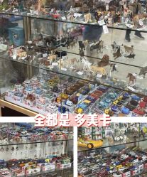 -逝水玩具折扣店