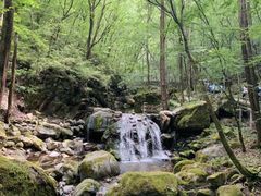 -牛背梁国家森林公园