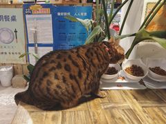 -小时光咖啡馆(北锣鼓巷店)