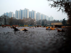 -陕西师范大学(雁塔校区)