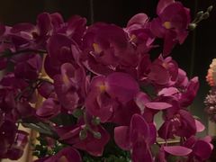 -亦境芳香·SPA影院足道(梅林店)