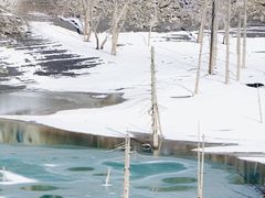 -叠溪松坪沟景区