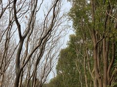 -同里国家湿地公园