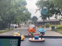 -嘉北郊野公园