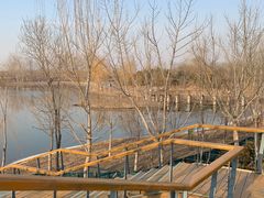 -东郊湿地公园
