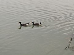 -昆山城市生态森林公园