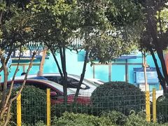 -海合安武汉极地海洋公园