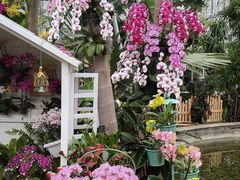 -北京植物园-展览温室