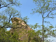 -青岛大珠山景区