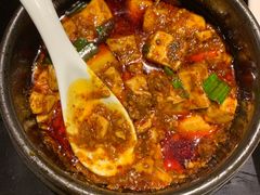 -陈麻婆豆腐总店