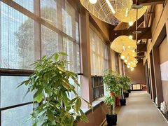 -椿杨樘·明康泡浴养生馆(重庆店)